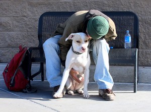 3093763311_2a83db98ba_z  Homeless Boy and his dog