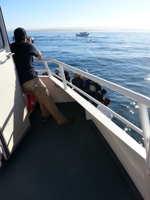 Guide with Telescopic Lens taking photo of Orcas